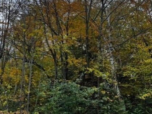 Land for sale in Central Huron, Ontario