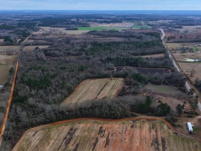 Land for sale in Luverne, Alabama
