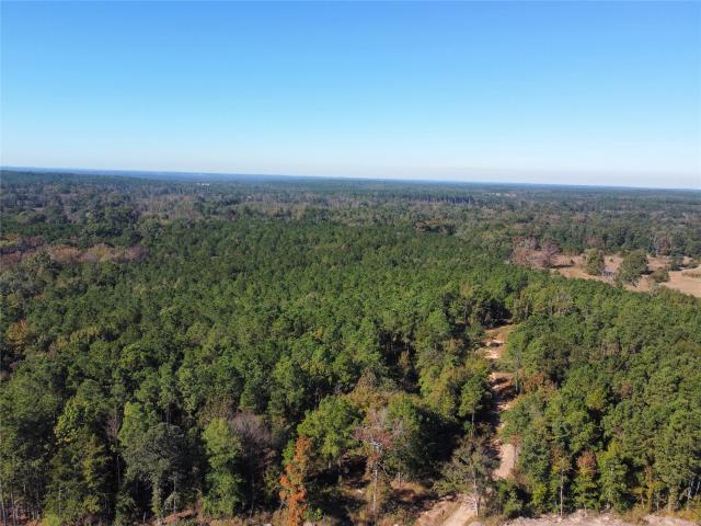 Land for sale in Marion, Texas