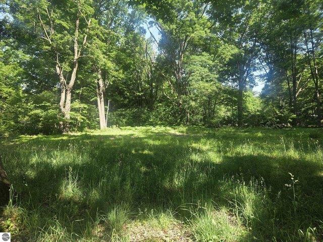 Land for sale in Isabella, Michigan
