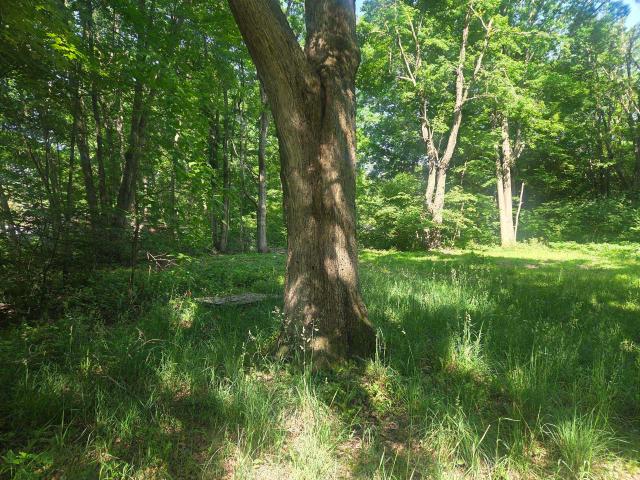 Land for sale in Isabella, Michigan