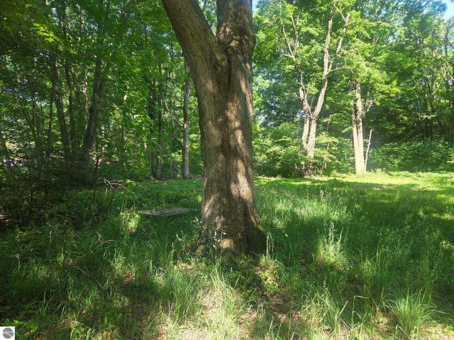 Land for sale in Isabella, Michigan