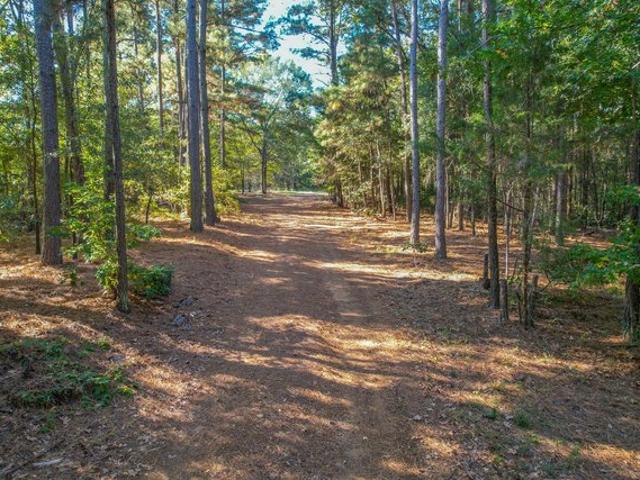 Land for sale in Henderson, Texas