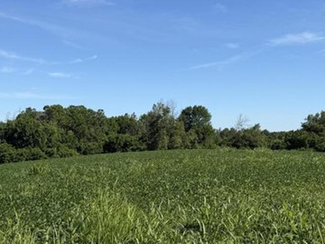 Farm for sale in Flemingsburg, Kentucky