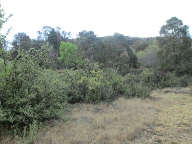 Land for sale in Rosendal, Free State