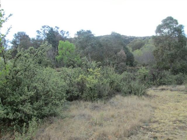 Land for sale in Rosendal, Free State