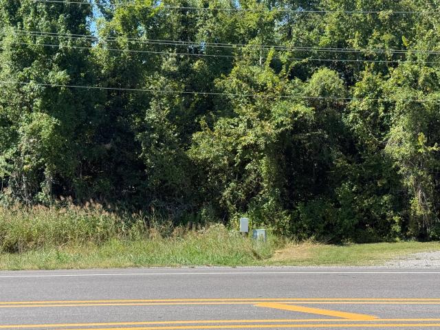 Land for sale in Marion, Williamson County