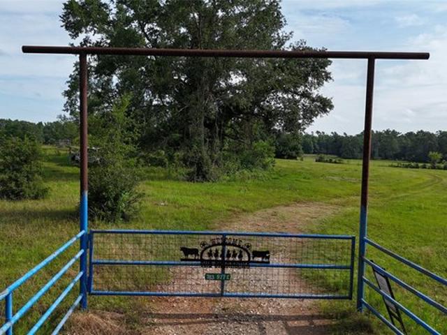 Land for sale in Leon, Texas