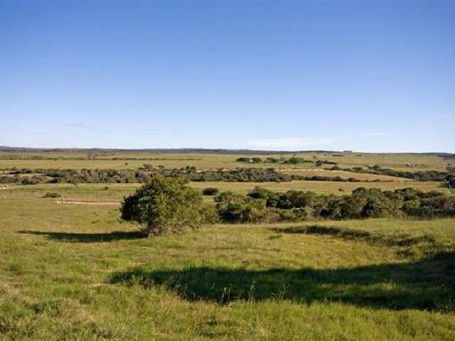 Land for sale in Bushmans River Mouth, Eastern Cape