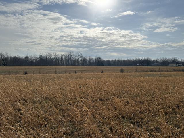 Land for sale in Tennessee