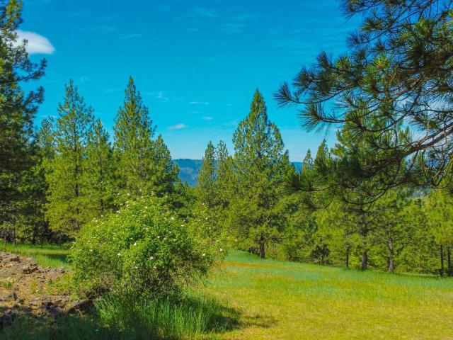 House for sale in Orofino, Idaho