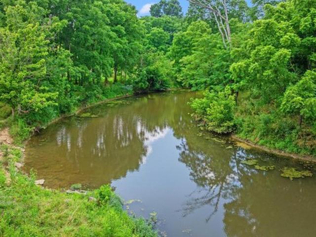 Farm for sale in Cynthiana, Harrison County