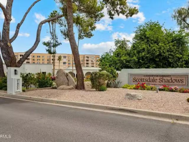House for sale in Scottsdale House for sale in Scottsdale