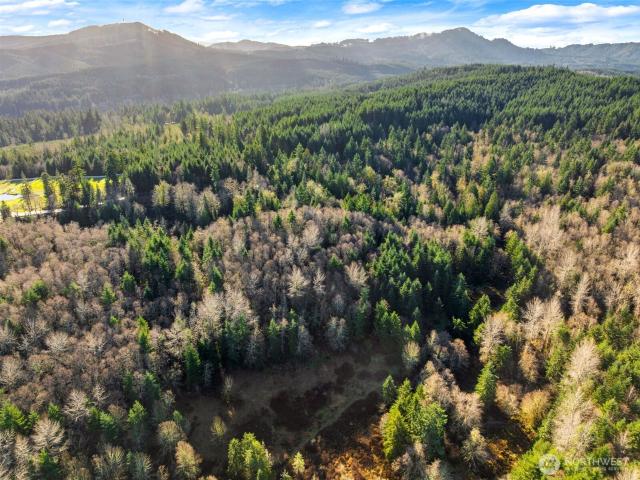 Land for sale in Thurston, Washington