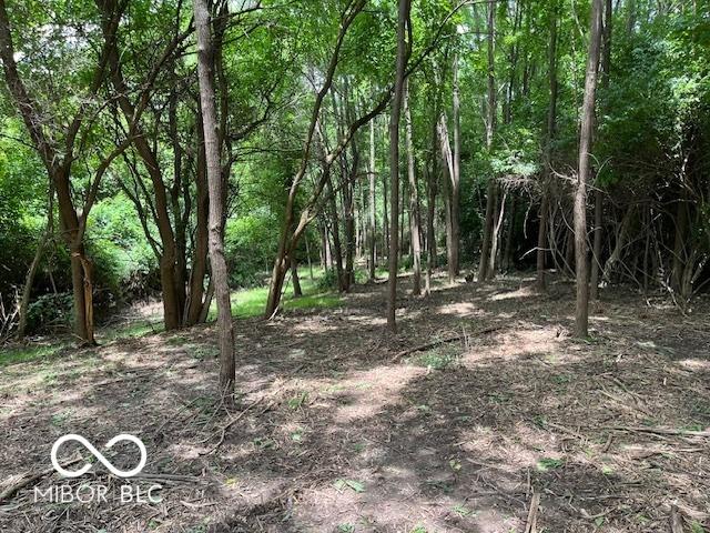 Land for sale in Nineveh, Indiana