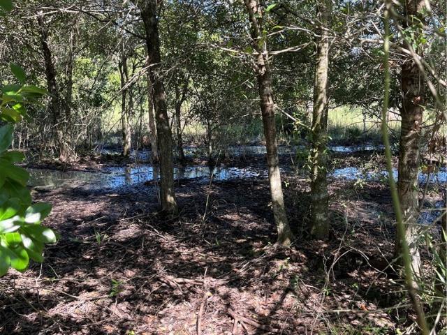 Land for sale in Moore Haven, Florida