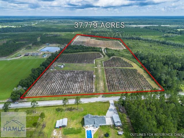 Land for sale in Pierce, Georgia
