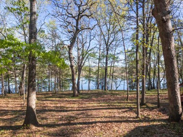 House for sale in Stone, Missouri