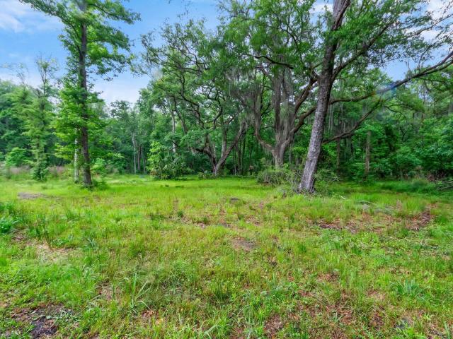 Land for sale in South Carolina
