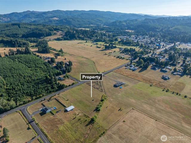 Land for sale in Pe Ell, Washington