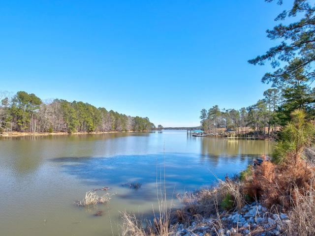 Land for sale in Ridgeway, South Carolina