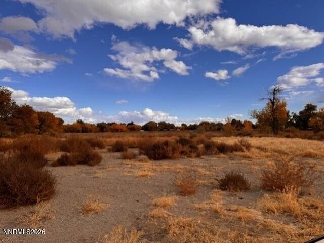 Land for sale in Fallon, Nevada