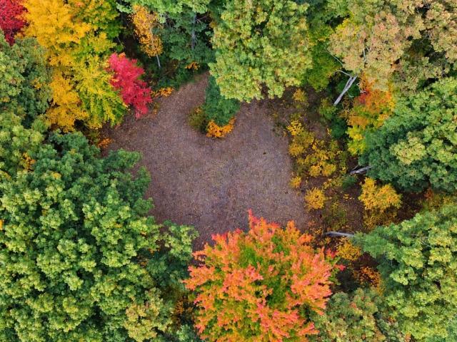 Land for sale in Vestaburg, Richland Township