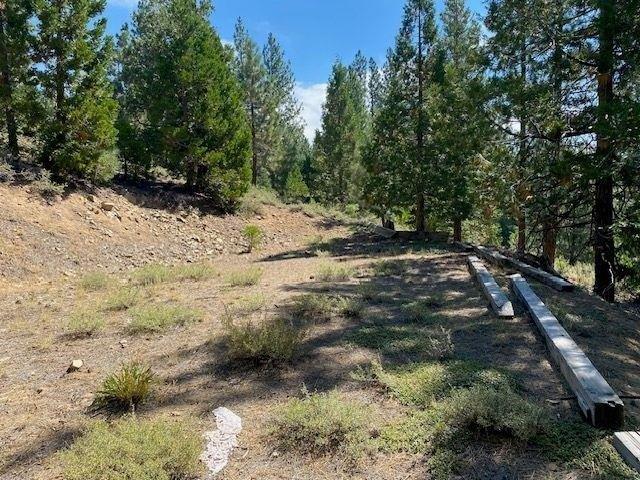 Land for sale in Portola, California