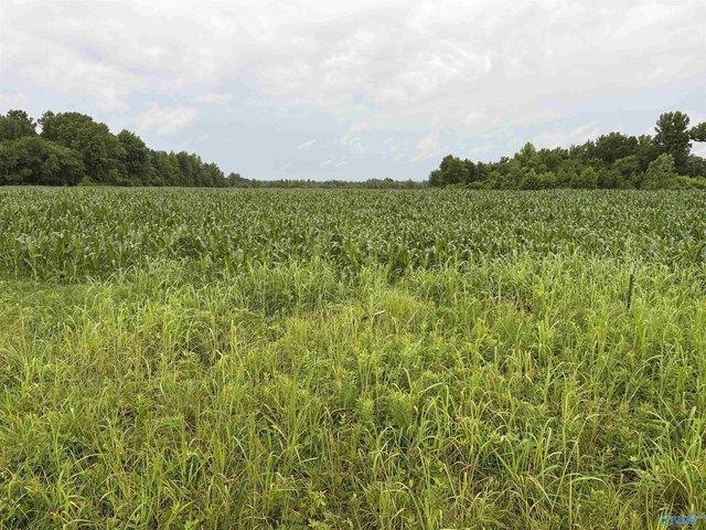 Land for sale in Town Creek, Alabama