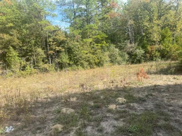 House for sale in Newton, Texas
