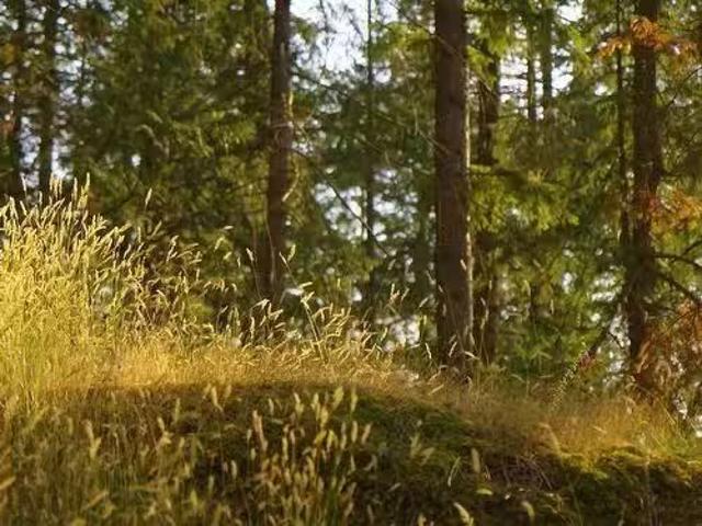 House for sale in Bowen Island, British Columbia