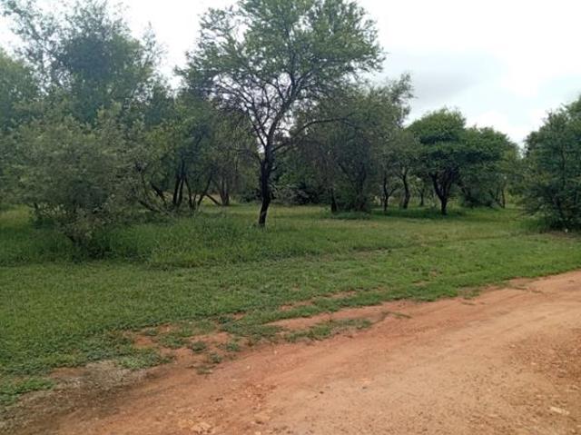 Land for sale in Limpopo