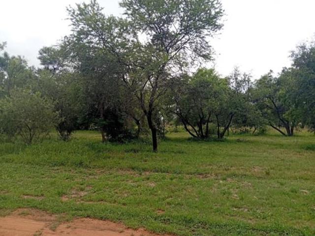 Land for sale in Limpopo