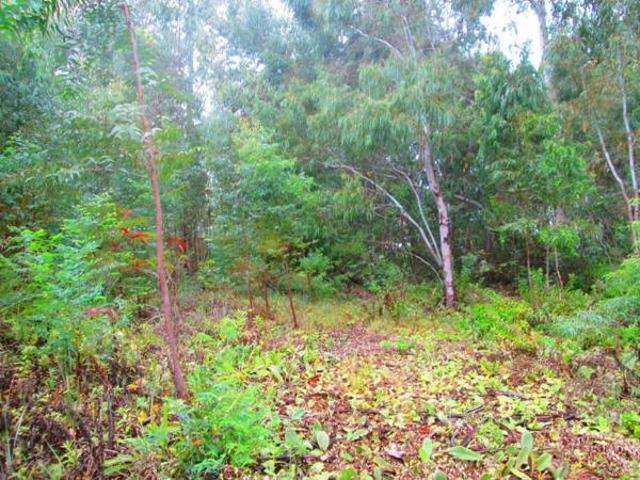 Land for sale in Dullstroom, Mpumalanga