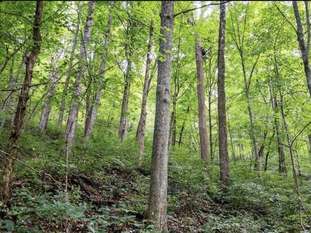 Farm for sale in Pine Grove, Fayette County