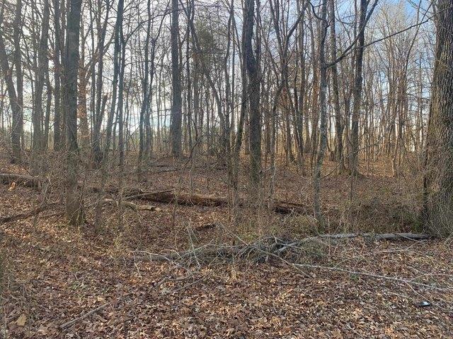 Land for sale in Tennessee