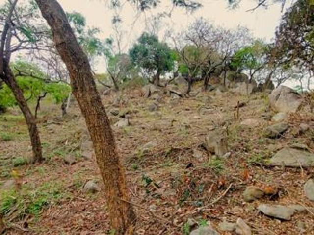 Land for sale in Ehlanzeni, Mpumalanga