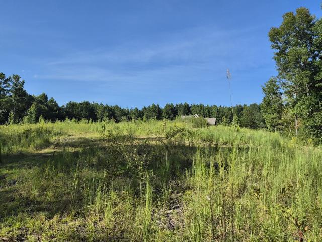 Land for sale in Charleston, East Tennessee