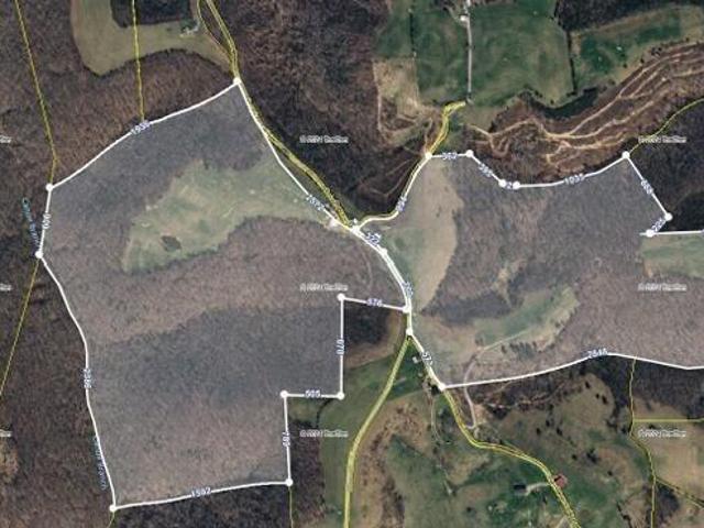 Land for sale in Harrogate, East Tennessee