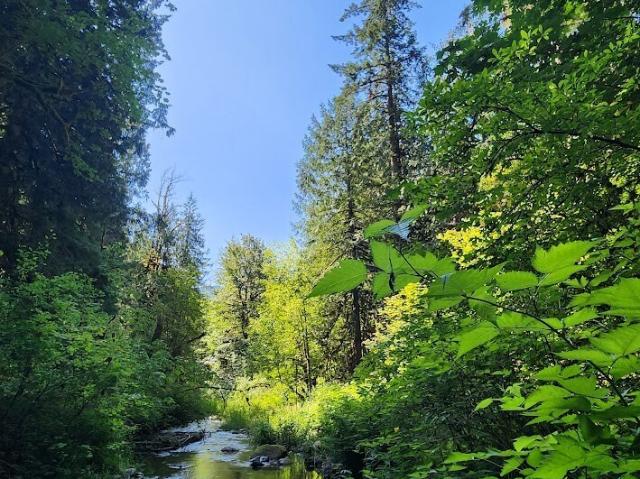 Land for sale in Deming, Washington