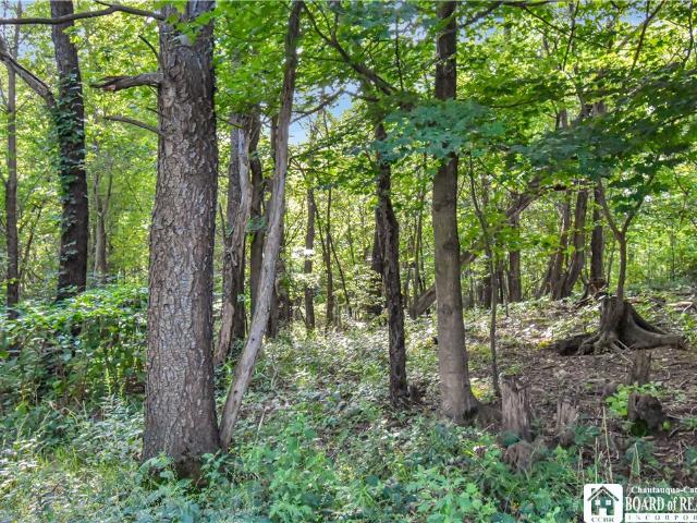Land for sale in Portland, New York