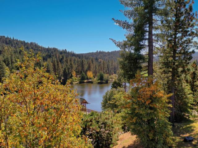 Land for sale in Cedar Glen, California