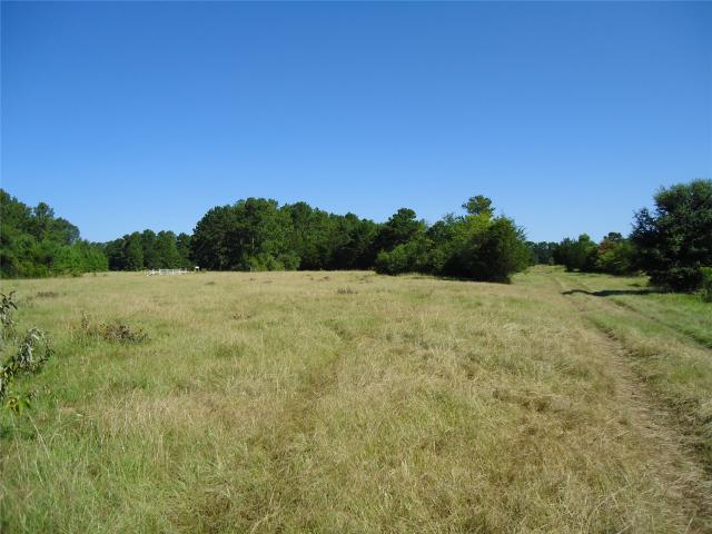 Land for sale in Groveton, Texas
