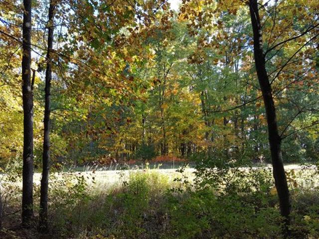 Land for sale in Chelsea, Michigan