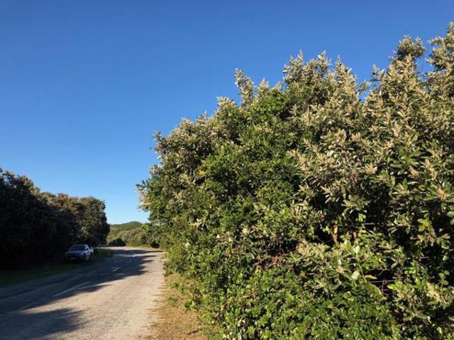 Land for sale in Bushmans River Mouth, Eastern Cape