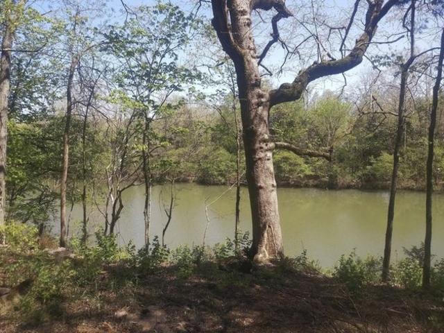 Land for sale in Tennessee