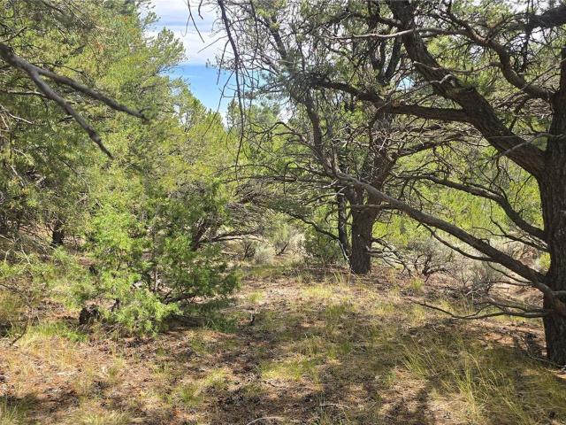 Land for sale in Fort Garland, Colorado