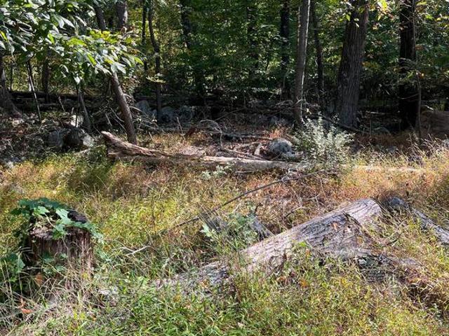 Land for sale in Lehigh, Pennsylvania