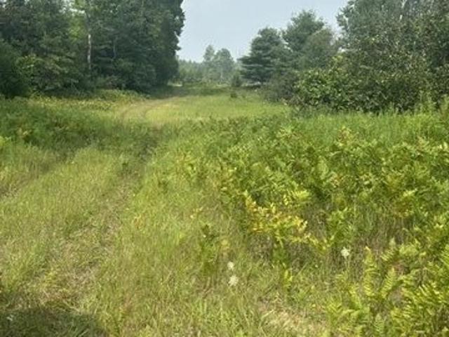 Land for sale in Reed City, Michigan