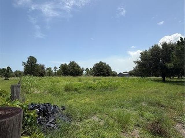 Land for sale in Labelle, Florida